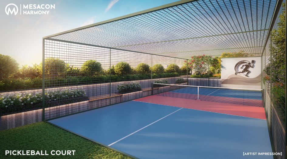 Mesacon-Harmony-Amenities-Pickleball-Court